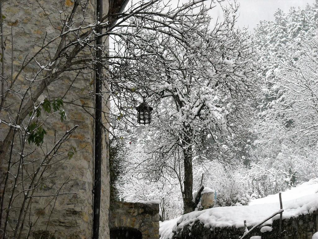 La Piazzetta Di Canale B&B Tenno Extérieur photo